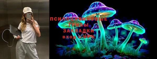 COCAINE Каменка