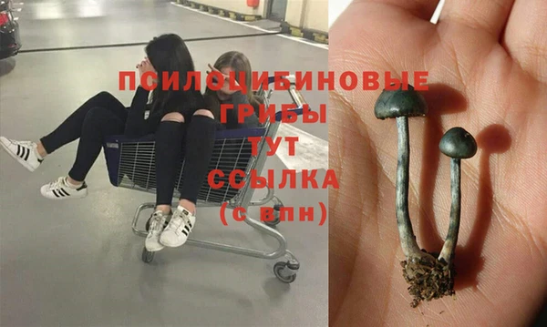 бутират Нестеровская