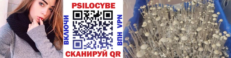 Псилоцибиновые грибы ЛСД  купить наркотики цена  blacksprut ССЫЛКА  мориарти клад  Дербент 