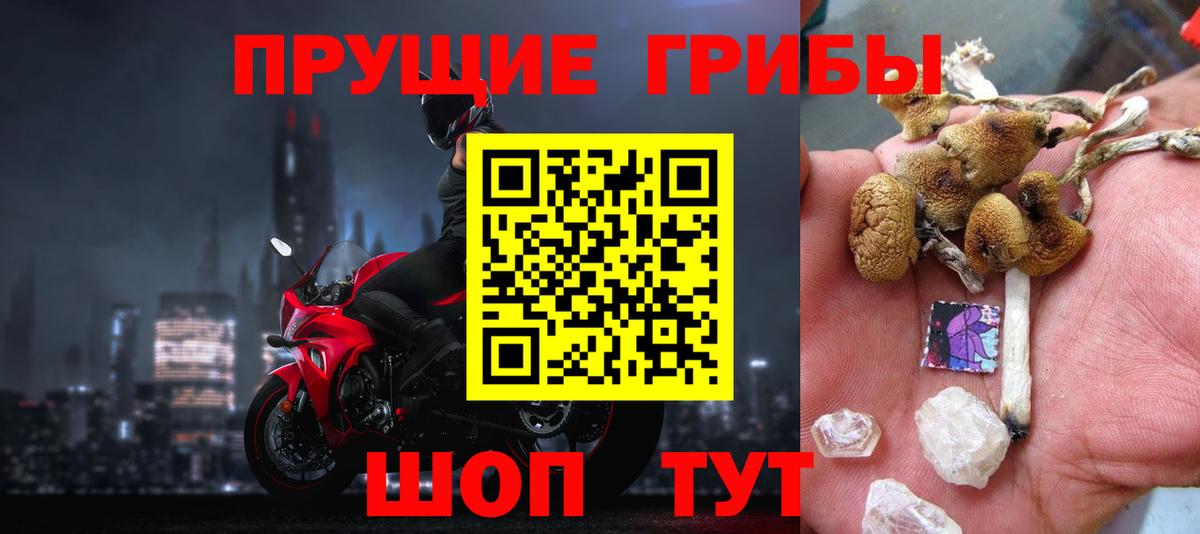 Галлюциногенные грибы MAGIC MUSHROOMS  Галлюциногенные грибы прущие грибы  Дербент  Вход с VPN 